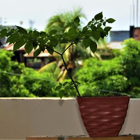 Flor Del Valle Posada Tarapoto Εξωτερικό φωτογραφία